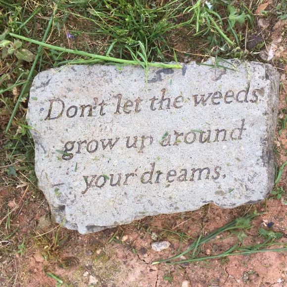 Meet your Posher, Adam - Picture 1 of 1